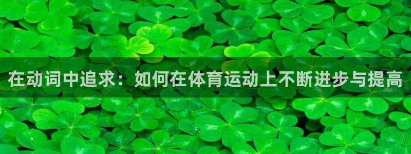 xc体育