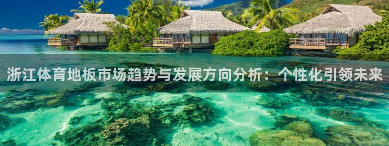 xc体育app官方网站