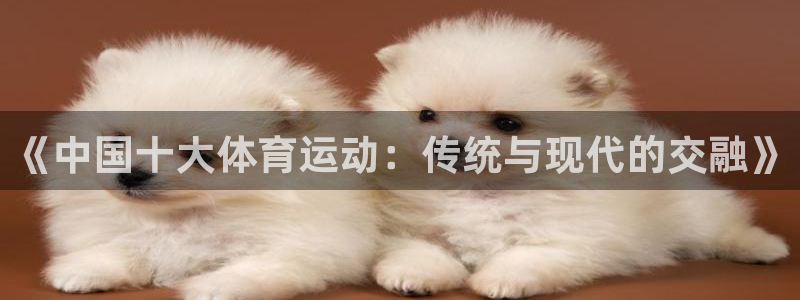 xc体育