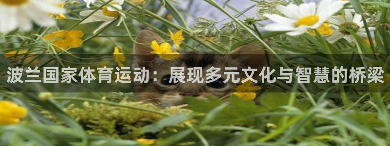 xc体育app官方网站