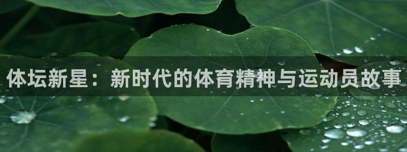 xc体育app官方网站