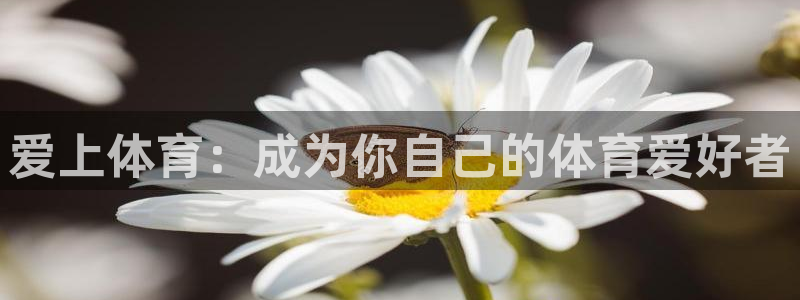 xc体育