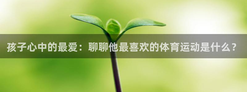 xc体育app官方网站