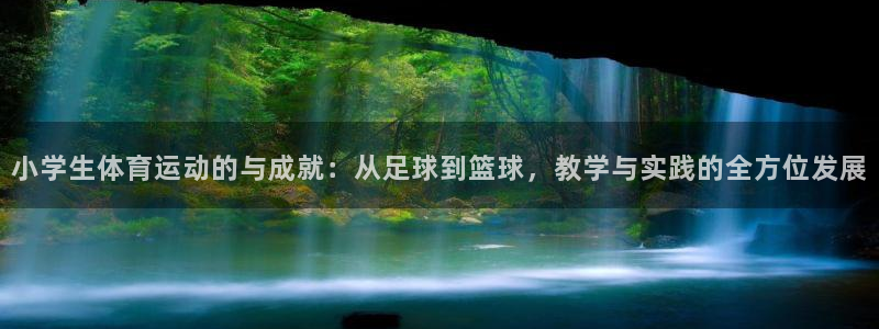 xc体育app官方网站