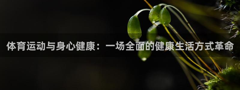 xc体育app官方网站