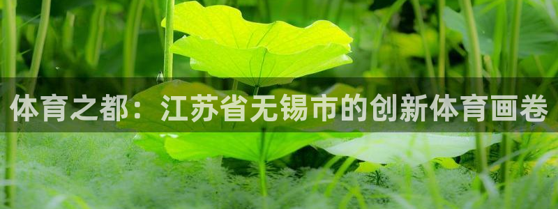 xc体育app官方网站