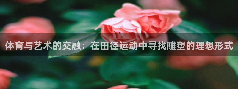 xc体育app官方网站