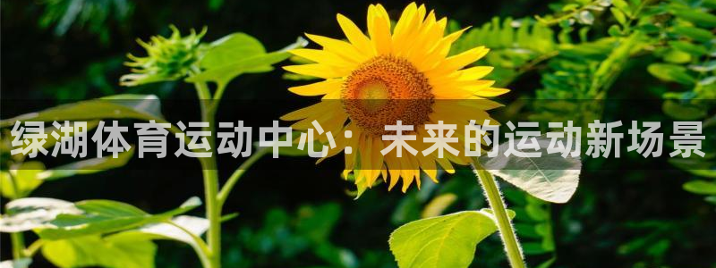 xc体育app官方网站