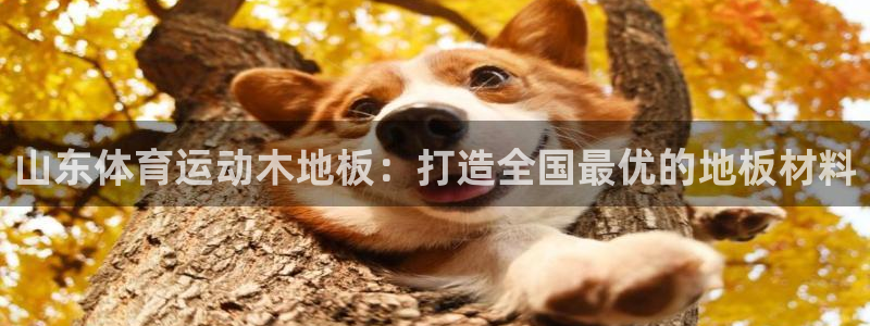 xc体育