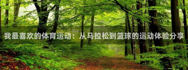 xc体育app官方网站