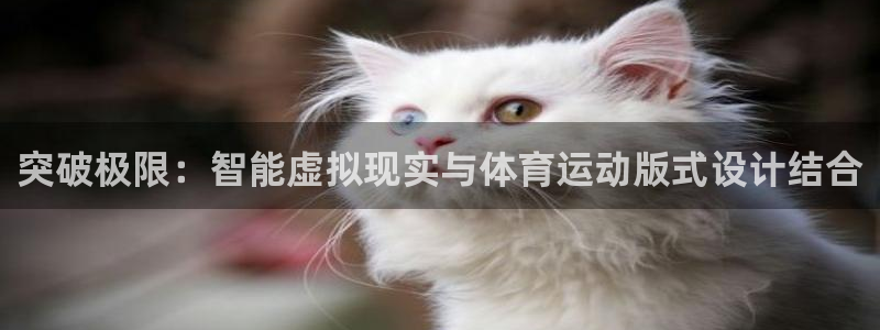 xc体育app官方网站