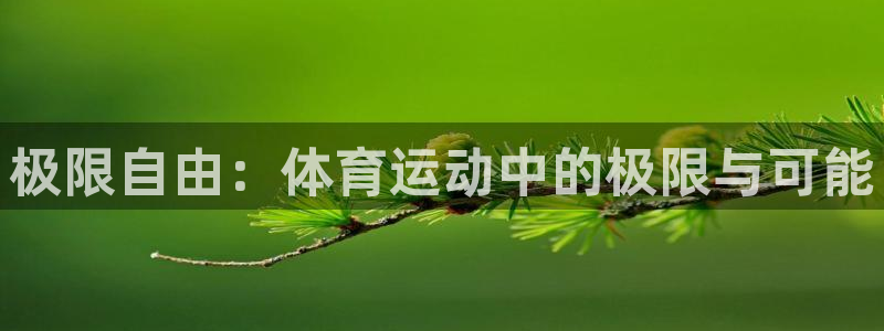 xc体育app官方网站