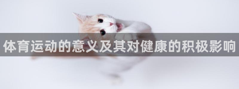 xc体育